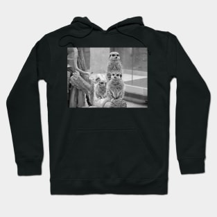 Meerkats on a look out Hoodie